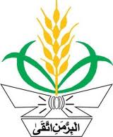 PCNA